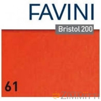 CARTONCINO FAVINI BRISTOL...